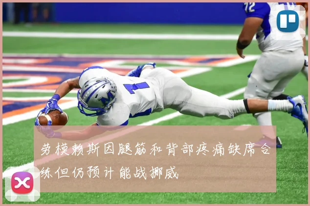 劳模赖斯因腿筋和背部疼痛缺席合练但仍预计能战挪威